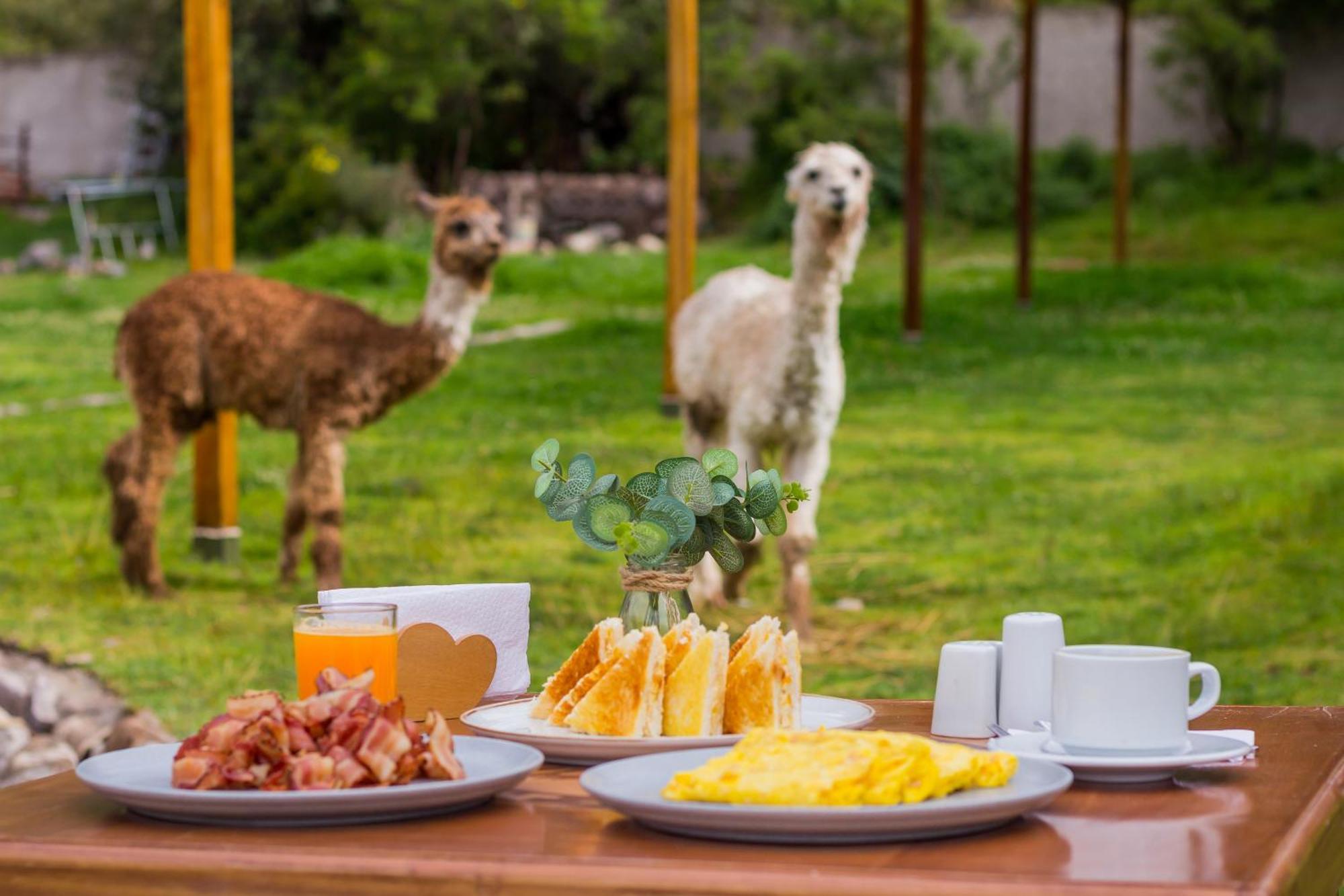 Hacienda Del Valle Sagrado 우루밤바 외부 사진
